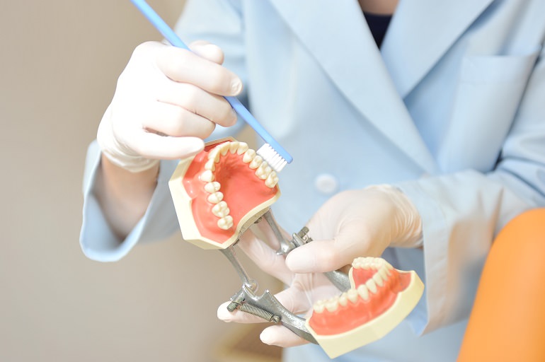 歯のメンテナンス(定期健診・PMTC等)